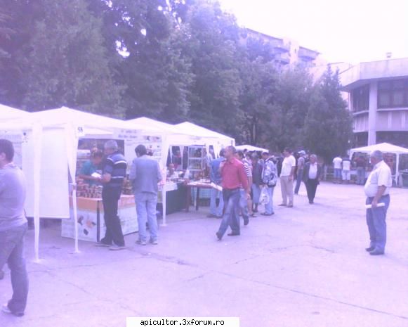 Targul National al Mierii - prisecarul - TARGURI APICOLE