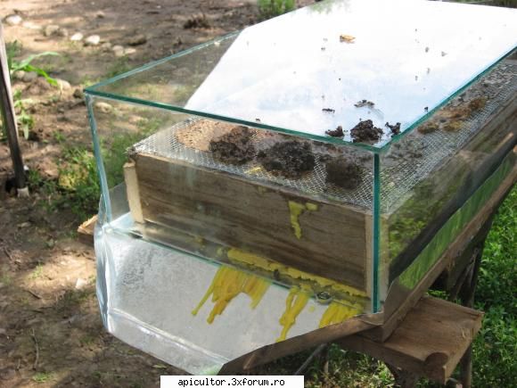 Topitor solar pentru faguri - savustanculescu - SCHITE SI PLANURI
