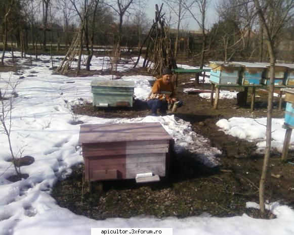 Tratament de primăvară - DUTA DANIEL 1 - BOLI SI TRATAMENTE
