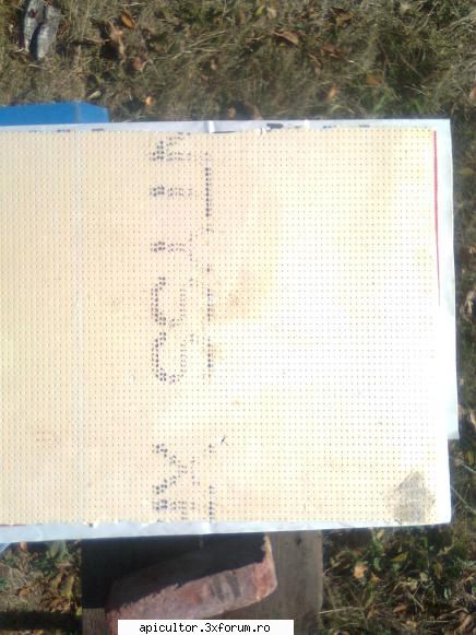 Un proiect nou in viata mea - Iar peste ziare am pus in loc de podisor - DESPRE MINE! CINE SUNT!!!