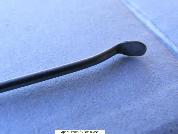 Unelte necesare pentru cresterea matcilor - tot este din inox - CRESTEREA MATCILOR