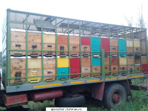 Vand familii de albine + camion RABA omologat - MariusTMS - VANZARI ECHIPAMENTE APICOLE