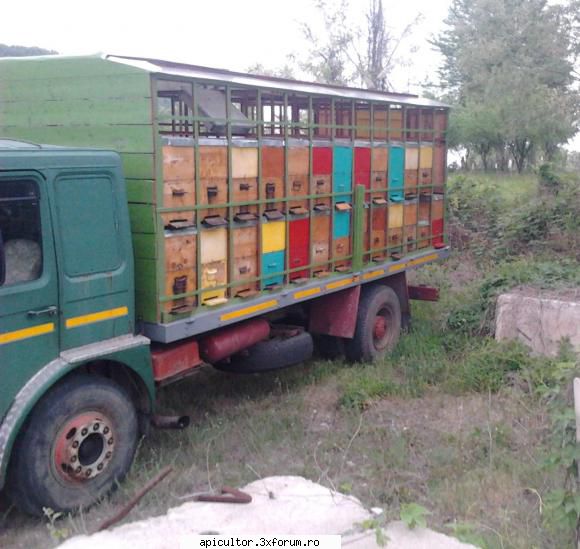 Vand familii de albine + camion RABA omologat - MariusTMS - VANZARI ECHIPAMENTE APICOLE