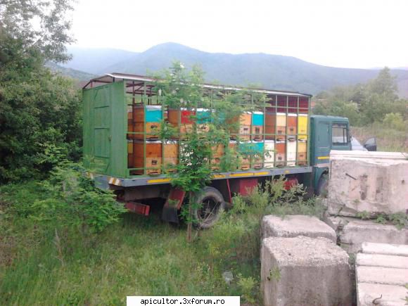 Vand familii de albine + camion RABA omologat - MariusTMS - VANZARI ECHIPAMENTE APICOLE