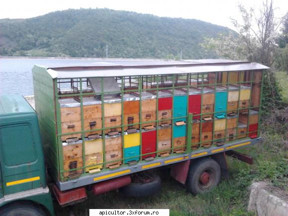Vand familii de albine + camion RABA omologat - MariusTMS - VANZARI ECHIPAMENTE APICOLE