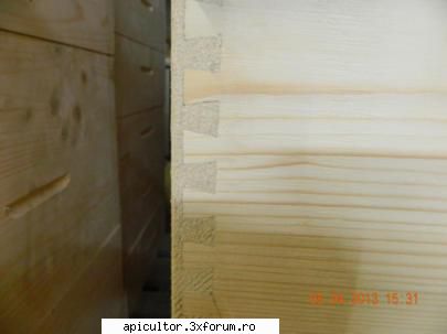 Vand stupi 120 lei+tva - Producator de Stupi cu fund detasabil: 1/1, 1/2 - VANZARI ECHIPAMENTE APICOLE