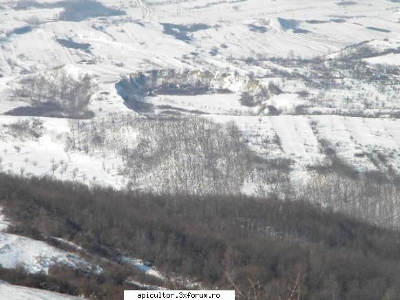 Viata de stupar - O zona care promite mult pentru la primavara - DESPRE MINE! CINE SUNT!!!