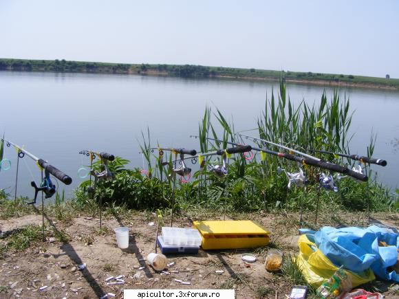 alt hoby - Si sa vezi ca sunt mincinos pana la capat,uita-te - PASIUNI