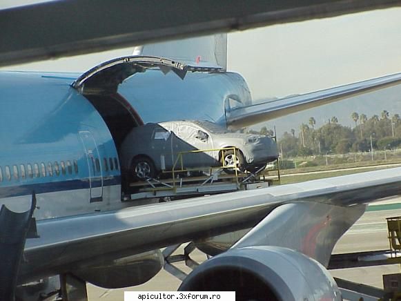 americanu' - Prin aeroport ma jucam - TROMPETA CU MOSOR