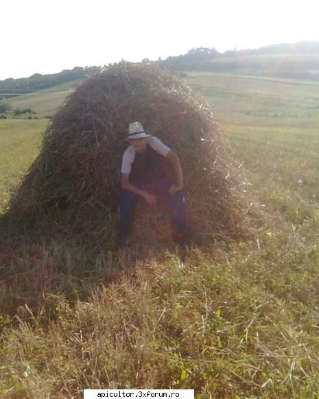 andrei din Salaj - andrei_salaj - DESPRE MINE! CINE SUNT!!!