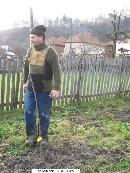 arbusti fructiferi - Na canu se vede. Asta se vede sigur - PASIUNI