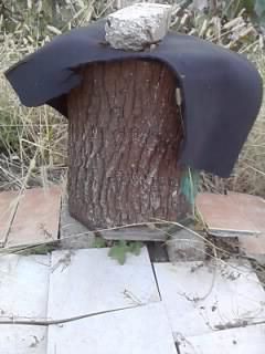 buduroaie de vinzare - castoruu_castoruu - VANZARI ECHIPAMENTE APICOLE
