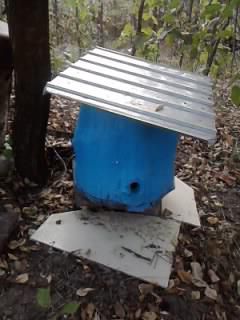 buduroaie de vinzare - castoruu_castoruu - VANZARI ECHIPAMENTE APICOLE