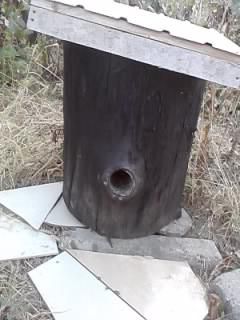 buduroaie de vinzare - castoruu_castoruu - VANZARI ECHIPAMENTE APICOLE