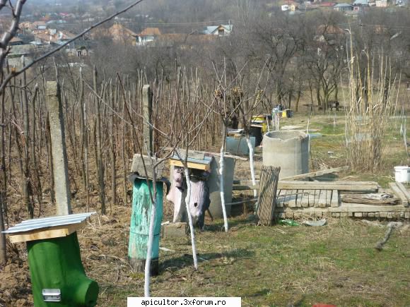 buduroaie de vinzare - poate le place cea ce fac ieuu si vor si ieii - VANZARI ECHIPAMENTE APICOLE