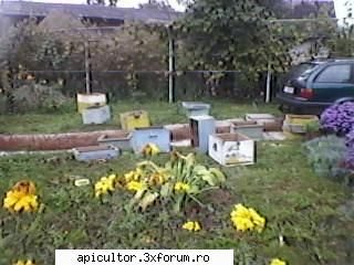 bzzzz meu - lazi la reconditionat ,pt alti vechi pt mine noi - POZE