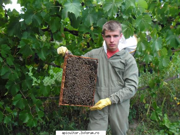 bzzzz meu - Cu ecipament complet .. manusile chiar nu se - POZE