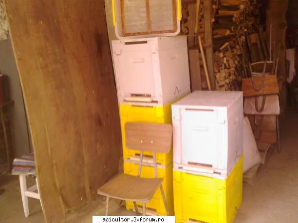 bzzzz meu - Mihai - POZE