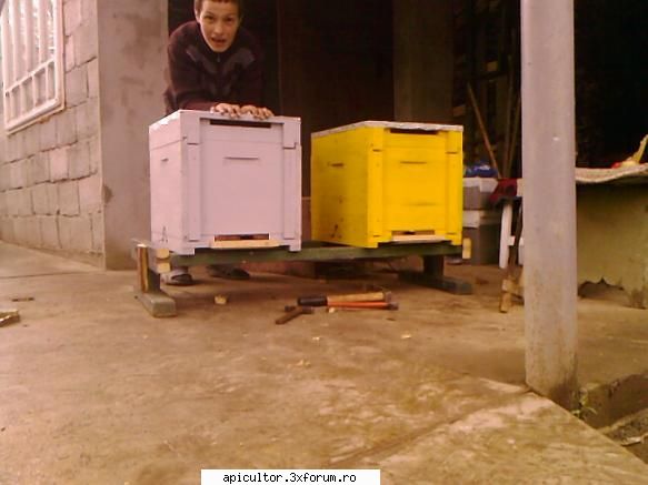 bzzzz meu - Mihai - POZE