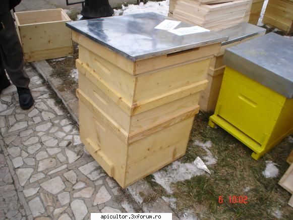 campina 2010 - un stup frumos lucrat la 120 ron - TARGURI APICOLE