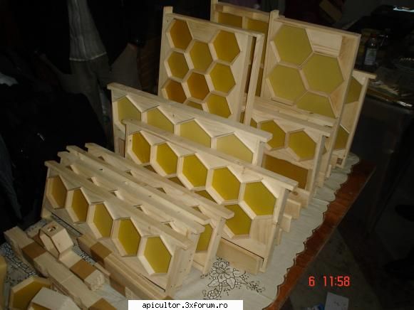 campina 2010 - rame interesante...cea 1/1 costa 40 ron - TARGURI APICOLE