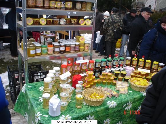 campina 2010 - FreeCristian - TARGURI APICOLE