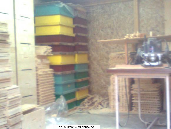 ciptheman - atelier in iarna - DESPRE MINE! CINE SUNT!!!