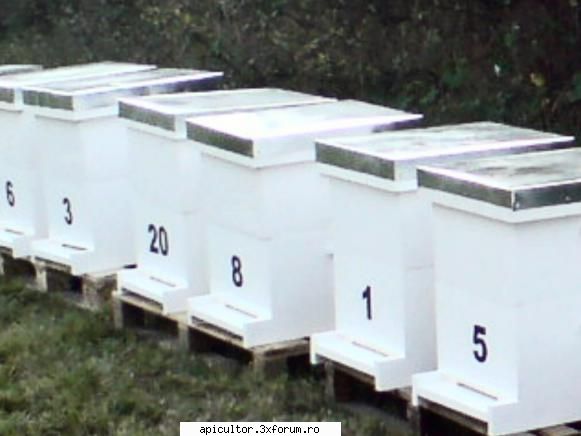 confectionez stupi verticali si multietajati - Confectionez stupi verticali si - VANZARI ECHIPAMENTE APICOLE