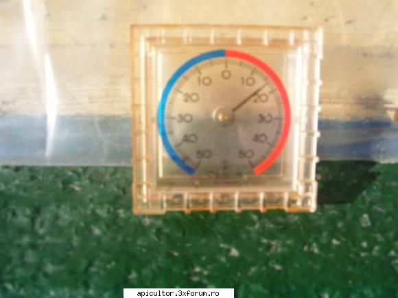 fotoklipa - In ziua de craciun au fost temperaturi ridicate - DESPRE MINE! CINE SUNT!!!