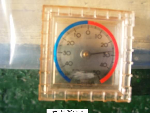 fotoklipa - Temperatura la soare - DESPRE MINE! CINE SUNT!!!