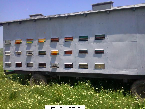 fotoklipa - pe partea cealalta - DESPRE MINE! CINE SUNT!!!
