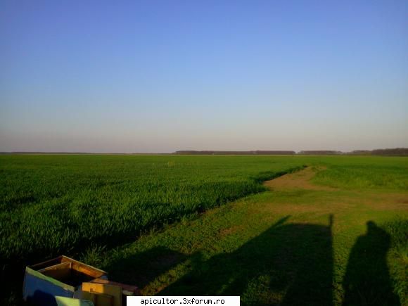fotoklipa - Rapita la ceva distanta,padurea de salcam,si F.S - DESPRE MINE! CINE SUNT!!!