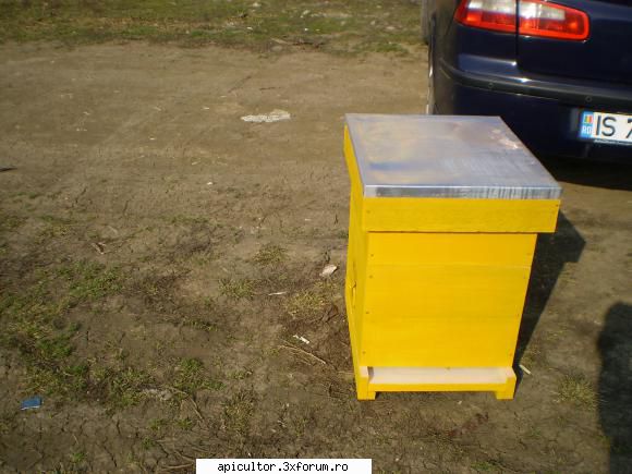 lazi stupi cu tabla de aluminiu - vand doi stupi verticali noi din scandura de - VANZARI ECHIPAMENTE APICOLE
