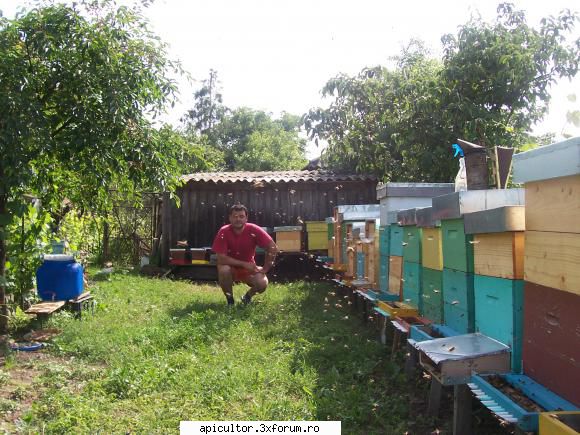 malebee - M-au cam cocosat ! Munca multa - POZE