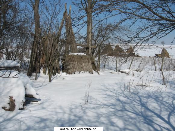 modele de stupi pt incepatori - si din alte unghiuri - APICULTOR INCEPATOR
