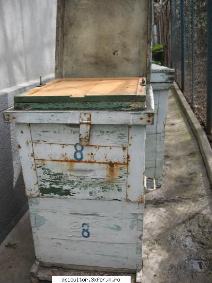 modele de stupi pt incepatori - doru c. - APICULTOR INCEPATOR