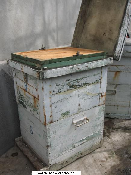 modele de stupi pt incepatori - doru c. - APICULTOR INCEPATOR