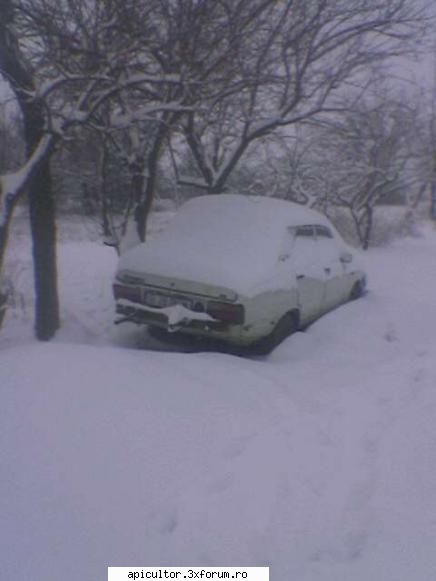 ninge - si batrana dacie in asteptarea unei semiremorci - INTRETINEREA ALBINELOR