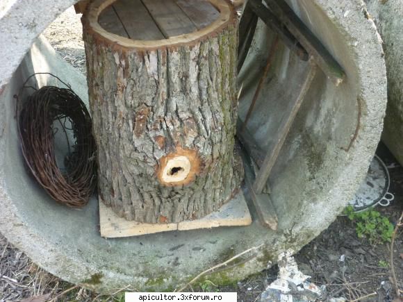poze buduroaie - castoruu_castoruu - POZE