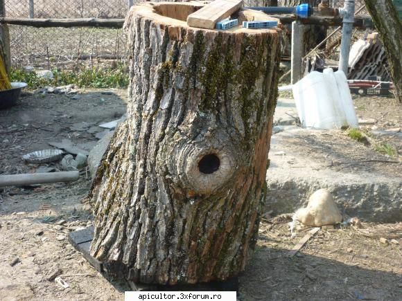 poze buduroaie - castoruu_castoruu - POZE