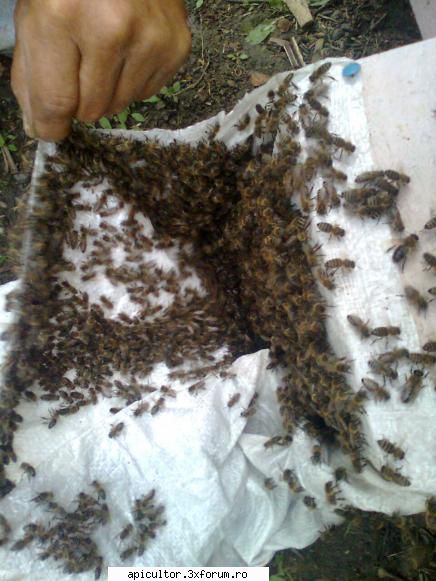 poze buduroaie - salutare noroc pe mine ca nu am dinamita ca asi - POZE