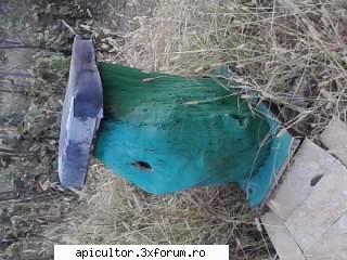 poze buduroaie - castoruu_castoruu - POZE