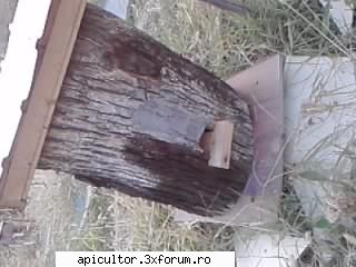 poze buduroaie - castoruu_castoruu - POZE