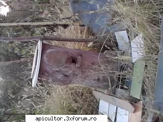 poze buduroaie - castoruu_castoruu - POZE