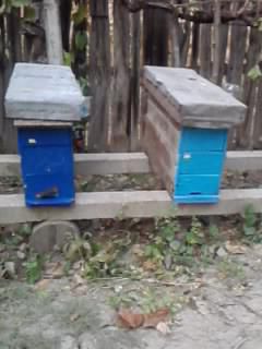 poze buduroaie - castoruu_castoruu - POZE