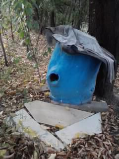 poze buduroaie - castoruu_castoruu - POZE