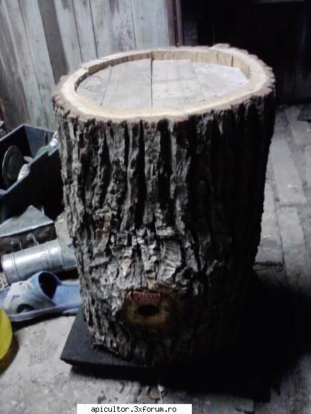 poze buduroaie - castoruu_castoruu - POZE