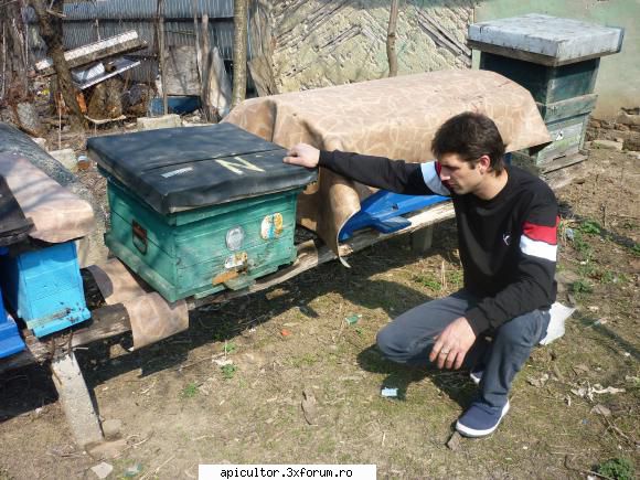 poze buduroaie - castoruu_castoruu - POZE