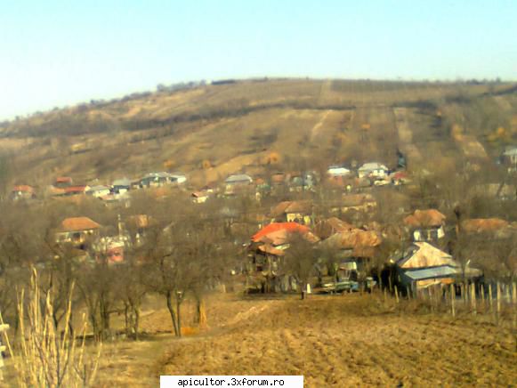 poze buduroaie - castoruu_castoruu - POZE