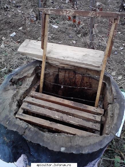 poze buduroaie - castoruu_castoruu - POZE